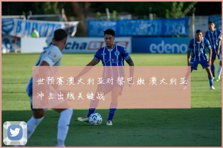 世预赛澳大利亚对黎巴嫩 澳大利亚冲击出线关键战