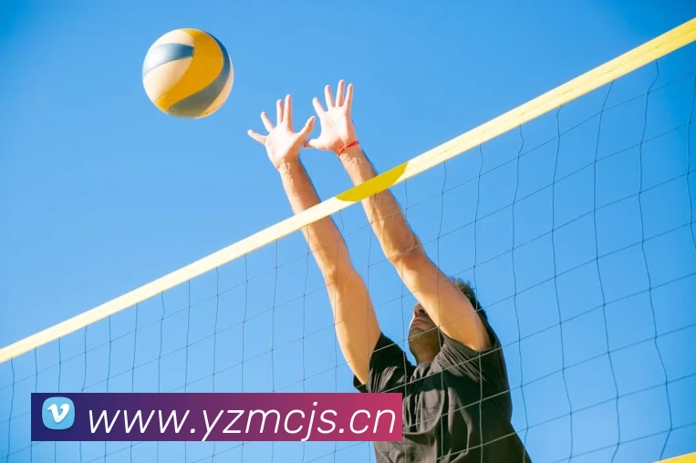 中欧(zoty)·中国体育官方网站发展历程